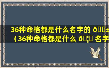 36种命格都是什么名字的 🐱 （36种命格都是什么 🦆 名字的女孩）